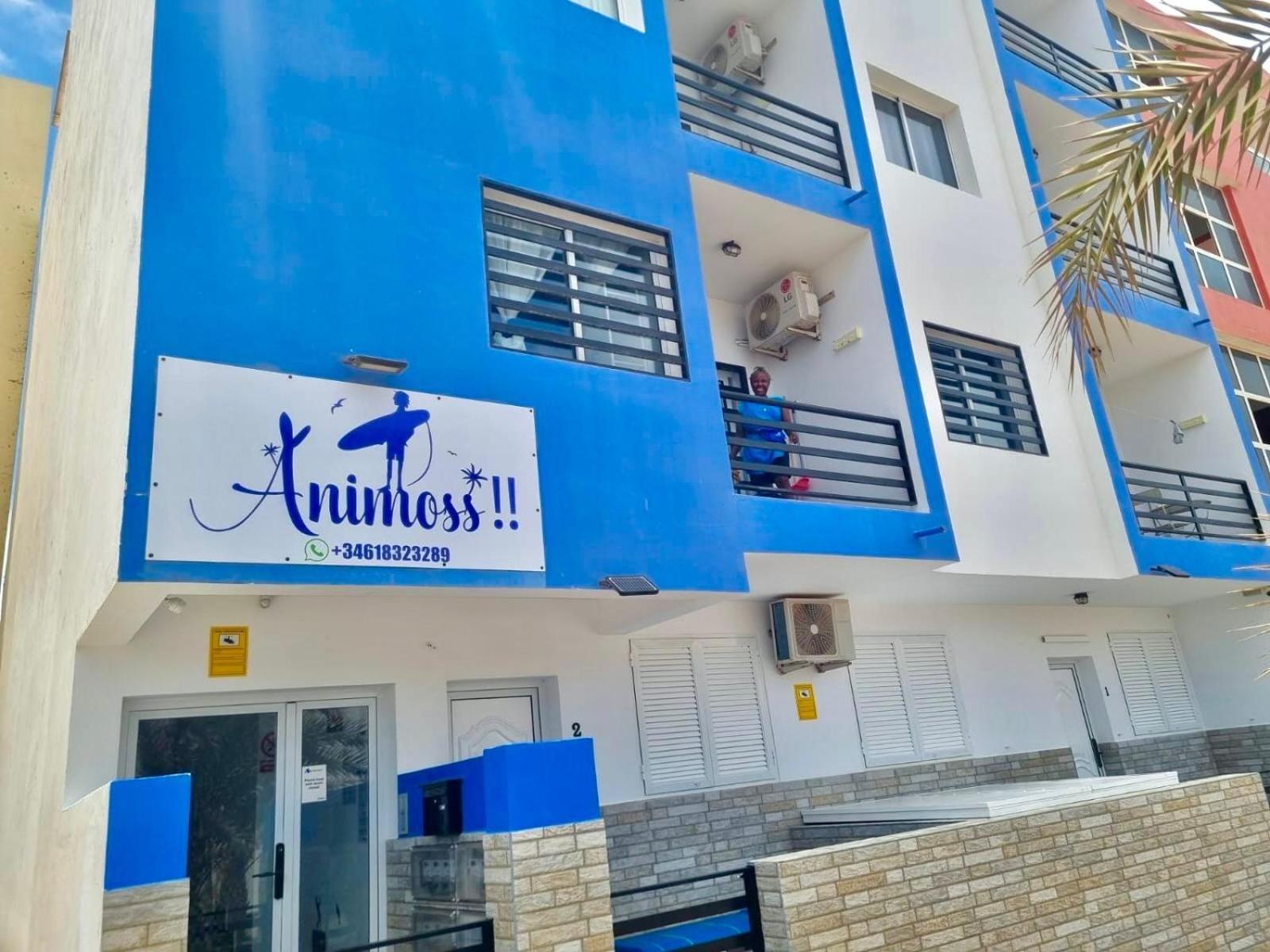 סנטה מריה Animos! Apartments - 10 Modern Apartments Near The City & Beach, Perfect For Nomads, Travellers, Families, Watersports! מראה חיצוני תמונה